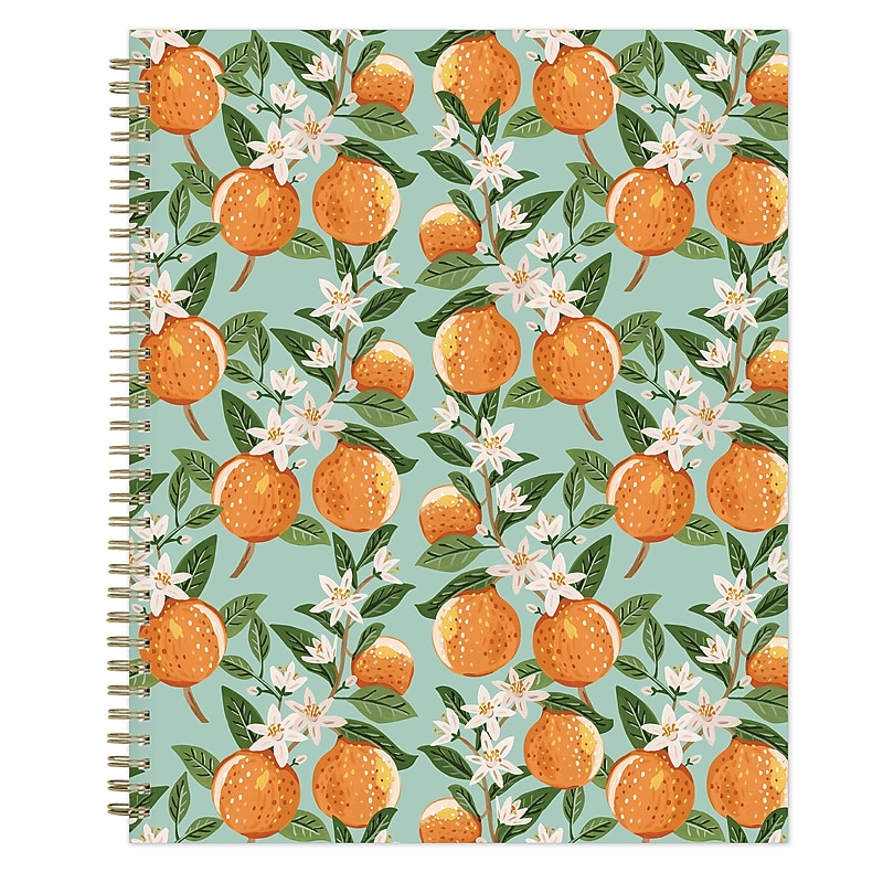 Blue Sky Bespoke Smooth 12 Pocket Plastic Portfolio Folder, Oranges Aqua (155606) image 1