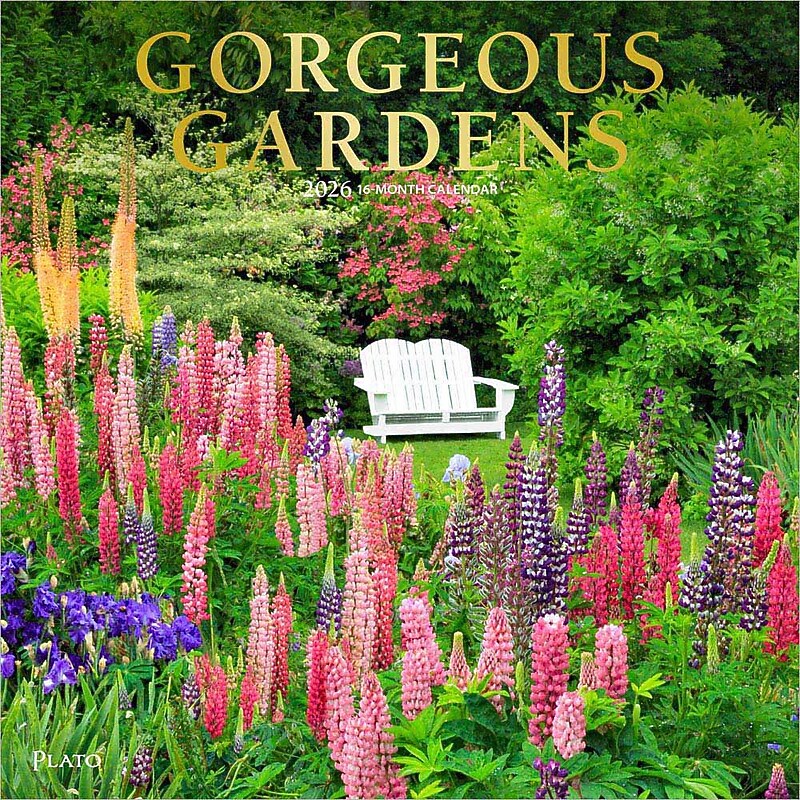 2026 Plato Gorgeous Gardens 12" x 12" Monthly Wall Calendar (9798330706679) image 1