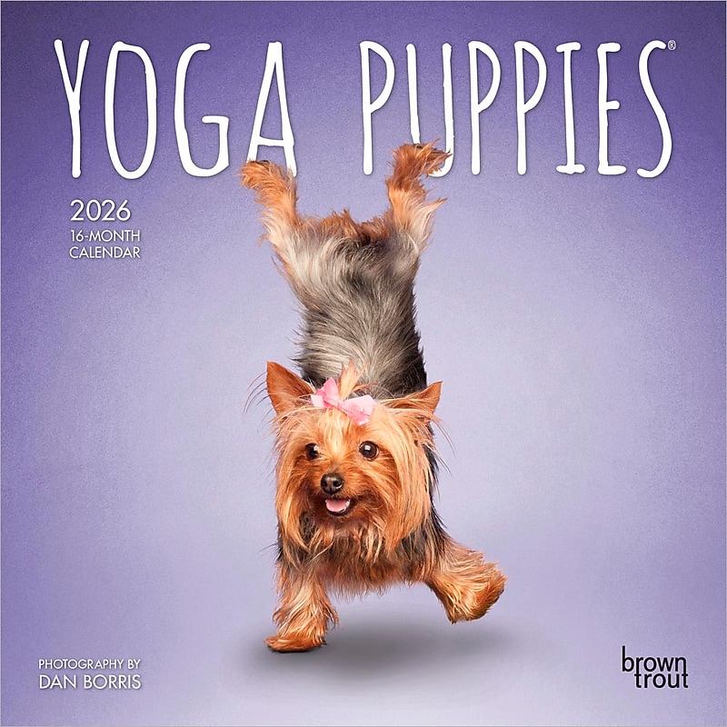 2026 BrownTrout Yoga Puppies 7" x 7" Monthly Wall Calendar (9798330701988) image 1