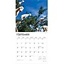 2026 BrownTrout Goats in Trees 12" x 12" Monthly Wall Calendar (9798330703449)~#|#~1ACD6C4D-9CE1-4DBA-9C4D592455C63CFA_sc7