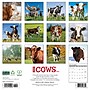 2026 Willow Creek Cows 12" x 12" Monthly Wall Calendar (50903)~#|#~1AEA231E-EFD4-47DE-A184C5FF8EBAD35A_sc7