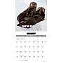 2026 Willow Creek In Otter News 12" x 12" Monthly Wall Calendar (51559)~#|#~1B11FC6A-99C2-4D86-88B2954D5A778591_sc7