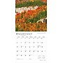 2026 BrownTrout Vermont Wild & Scenic 12" x 12" Monthly Wall Calendar (9798330706099)~#|#~1B1E93C8-2790-4762-AE6FE80FBAD9670D_sc7