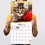 2026 TF Publishing Kittens 12" x 12" Monthly Wall Calendar, Multi (26-1013)~#|#~1B2B9850-10ED-455E-861BF2E3F43B0F31_sc7