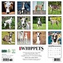 2026 Willow Creek Whippets 12" x 12" Monthly Wall Calendar (53232)~#|#~1B3DCBC7-8F4C-4314-B9495929031CCA88_sc7