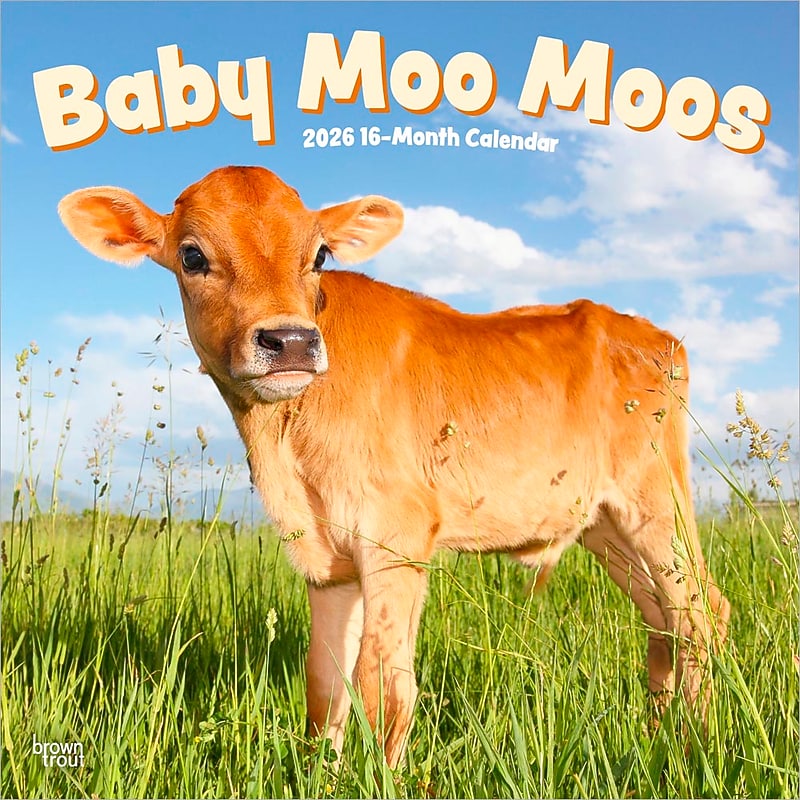 2026 BrownTrout Baby Moo Moos 12" x 12" Monthly Wall Calendar (9798330702282) image 1