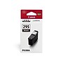 Canon PG-295 Black Standard Yield Ink Cartridge (HS621)~#|#~1B67CE01-269F-40BC-BC64828E9F22FE2A_sc7