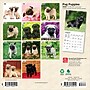 2026 BrownTrout Pug Puppies 7" x 7" Monthly Wall Calendar (9798330705214)~#|#~1B6A07E4-5854-4E61-BD99F331EA4A2279_sc7