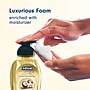 Softsoap Velvet Silk Antibacterial Foaming Hand Soap, Caramelized Coconut & Vanilla Scent, 9 oz., 6/Carton (61052504CT)~#|#~1B81C129-EF0A-4571-8F96425491BD36E7_sc7
