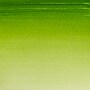 Winsor & Newton Watercolor Paint Tube, Sap Green (WNX0308599)~#|#~1B85206E-8135-462D-830E0B6025ADD5EF_sc7