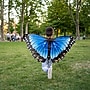 Insect Lore Dress-Up Morpho Butterfly Wings, Blue/Black, 3/Bundle (ILP4810-3)~#|#~1B948226-35AA-4378-B4E0BF7864FF8226_sc7