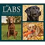 2027 Willow Creek Just Labs 5.4" x 6.2" Day-to-Day Calendar (63569)~#|#~1BB94449-7378-4D66-A8B39094932461FA_sc7