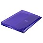 JAM Paper Plastic Binder Pocket, Purple, 3/Pack (218VB1PUX3)~#|#~1BDECFAB-1EAE-4377-B27F3701E0982F28_sc7