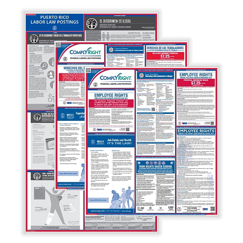 ComplyRight Federal (Bilingual) and State (English) Labor Law 1-Year Poster Service, Puerto Rico Spanish (U1200CBOPRS) image 1