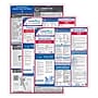 ComplyRight Federal (Bilingual) and State (English) Labor Law 1-Year Poster Service, Puerto Rico Spanish (U1200CBOPRS)~#|#~1BEEBF0B-BFE8-4DDB-9F83539381B45793_sc7