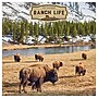 2027 TF Publishing Ranch Life 12" x 12" Monthly Wall Calendar, Multicolored (27-1042)~#|#~1BF83CC0-83A8-49BE-B116C04E14295F4F_sc7