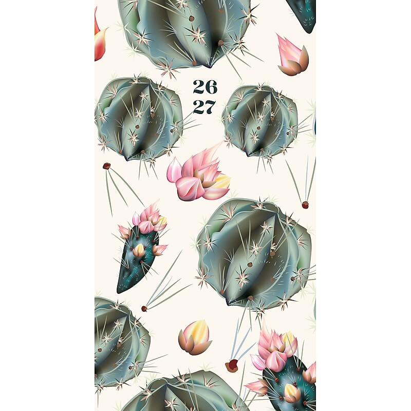 2026-2027 Willow Creek Cactus Deco 3.5" x 6.5" Monthly Planner, Paperboard Cover (57636X) image 1
