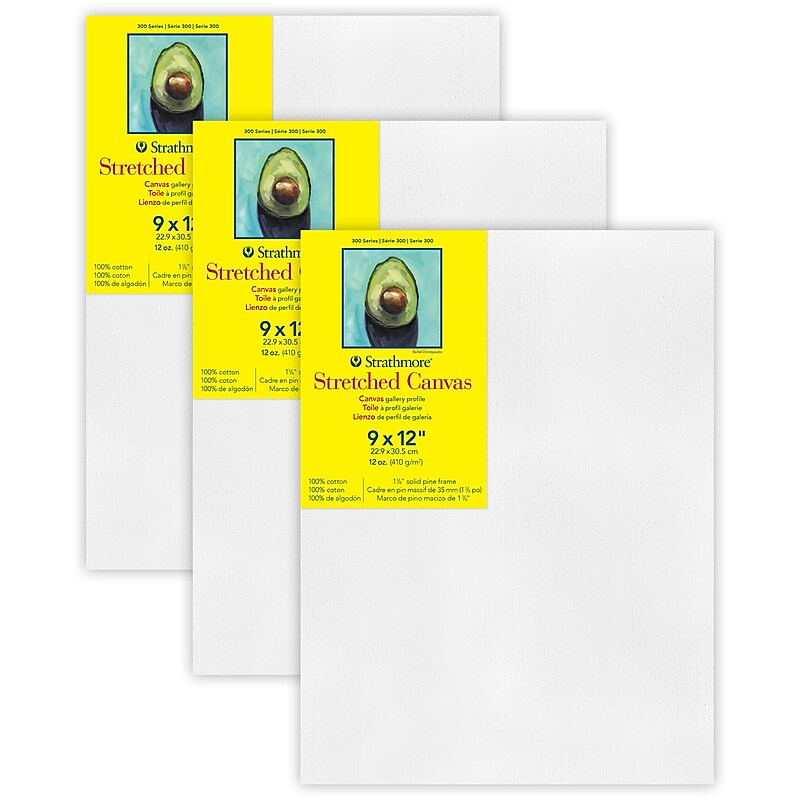 Strathmore 300 Series Primed White Stretched Canvas, 12" x 9", 3/Pack, 3/Bundle (STT31409-3) image 1