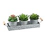 Monarch Specialties Inc. 6" Artificial Succulent in Pot, 3/Set (I 9372)~#|#~1C3B8087-AA89-4CA0-BD825AE839403630_sc7