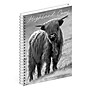 2027 Willow Creek Highland Cows 6.5" x 8.5" Weekly & Monthly Desk Calendar (64412)~#|#~1C3CFBDE-87BA-4468-BC5AAEE739E1A793_sc7