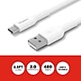Staples TECH USB-C to USB-A Charging Cable, 6.5 ft., White (ST62338)~#|#~1C4643D0-8EF5-4DAF-864A55AFB6746E2E_sc7