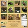2027 Willow Creek Northwoods Wildlife  12" x 12" Monthly Wall Calendar (61541)~#|#~1C52E7C7-70D9-4948-87E5FC324F92E4CD_sc7