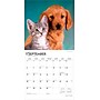 2026 BrownTrout Kittens & Puppies 12" x 12" Monthly Wall Calendar (9798330704101)~#|#~1C6D3F10-4967-458C-BEAB65E24D12403F_sc7