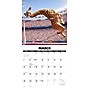 2027 Willow Creek Animal Olympics 12" x 12" Monthly Wall Calendar, Assorted Colors (65082)~#|#~1C85F5B2-EDA7-4F0A-94D6303F2C4A4BE6_sc7