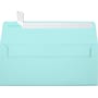 JAM Paper #10 Self Seal Booklet Envelopes, 4 1/8" x 9 1/2", Seafoam Blue, 50/Pack (LUX-4860-113-50)~#|#~1C99A9F8-527A-4926-BFD3A4AEA6AE34BB_sc7