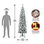 National Tree Company 7.5' Acacia Artificial Christmas Tree (AC100-504-75F)~#|#~1CA80A60-324F-4249-9173F19CA423EC7F_sc7