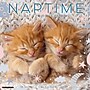 2027 Willow Creek Naptime: A Cat's Favorite Pastime 12" x 12" Monthly Wall Calendar (61404)~#|#~1CD5FD4C-DD3D-4353-89BEA988688008C2_sc7