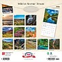 2026 BrownTrout Texas Wild & Scenic 12" x 12" Monthly Wall Calendar (9798330705825)~#|#~1CDE9D6A-50C2-4C3A-B71F8E2BF3A76FD2_sc7