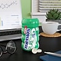 Mentos Pure Fresh Sugar Free Spearmint Gum, 50 Pieces/Pack, 50/Pack (PVM1508445)~#|#~1CE3B4F7-2D23-4E16-B8ED7A69C7EFC2FB_sc7