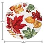 Say Hooray! Autumn Air Paper Plates and Napkins Kit, Multicolored, 48/Pack (DTC9387E2G)~#|#~1D1429CF-AB04-48D6-8C461D0E1C2E8FE3_sc7