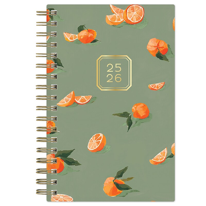 2025-2026 Blue Sky Oranges 3.625" x 6.12" Academic Year Weekly & Monthly Planner, Plastic Cover, Mint (155403) image 1