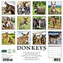 2027 Willow Creek Donkeys  12" x 12" Monthly Wall Calendar (65204)~#|#~1D19C4CD-E8D5-4E46-B5505DF8FC27663B_sc7