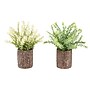 Monarch Specialties Inc. 12" Artificial Mullberry Grass Plant in Pot, 2/Set (I 9360)~#|#~1D3B952D-C107-4588-B62A6C92F957C16C_sc7
