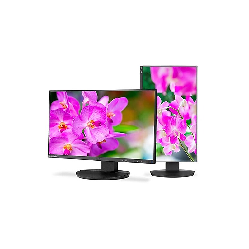 Sharp MultiSync 23.8"  FHD IPS 75Hz Desktop Monitor, Built-In Speaker, Height Adjustable, Black (DD-EA241F) image 1