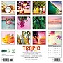 2026 Willow Creek Tropic Like It’s Hot 12" x 12" Monthly Wall Calendar (56196)~#|#~1D6C78C6-EC7E-4FB3-844B772D0987257F_sc7
