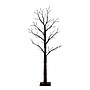 Nearly Natural Pre-Lit Artificial Halloween Twig Tree, 5' (T5163)~#|#~1D8114D3-1280-40BC-9459FEB863CAC4D2_sc7