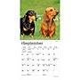 2027 BrownTrout Dachshunds 7" x 7" Monthly Wall Calendar, Assorted Colors (9798330709984)~#|#~1D84D591-A381-4960-B8E177FCA5BC9054_sc7