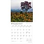 2026 BrownTrout Indiana Wild & Scenic 12" x 12" Monthly Wall Calendar (9798330703876)~#|#~1D937AFE-C17E-41E5-BF55EC6A9DD9F9E5_sc7