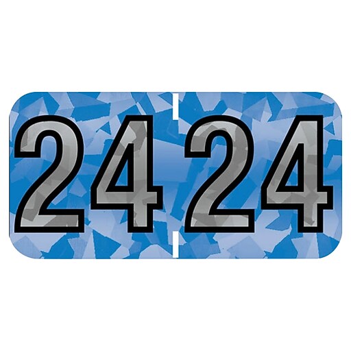 Medical Arts Press Holographic EndTab Year Labels, 2024, Blue, 500