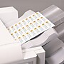 Avery Copier Address Labels, 1" x 2-13/16", White, 3300 Labels/Box (5351)~#|#~1DB77423-0257-4CB6-93F39B8B49F5FB34_sc7