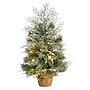 Nearly Natural Winter Frosted Artificial Christmas Tree, 2' (T3328)~#|#~1DB9DC3D-1404-4094-8835555B90D9C80F_sc7