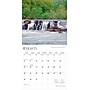 2026 BrownTrout West Virginia Wild & Scenic 12" x 12" Monthly Wall Calendar (9798330706297)~#|#~1DC1B3DD-B4A5-4B10-A6EF84B6001C1037_sc7