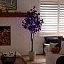 Nearly Natural Pre-Lit Artificial Halloween Black Eucalyptus Tree, 6' (T5223)~#|#~1DD4C235-4D9A-420F-8483E10F7F5C52F9_sc7