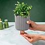 Lifelines ClickWick Fresh Citrus Essential Oil Replacements, .25 oz., 2/Pack (110454)~#|#~1DD63935-E935-4B83-99A6CC45C19081DC_sc7
