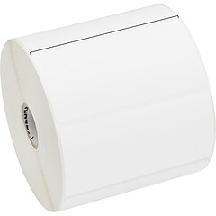 設備・備品 canterbury TAG STARTER SET AB00802S Amazon.co.jp: Canterbury AB00802S Tag Belt Tag Starter Set