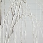 Nearly Natural 6-ft Pre-Lit Artificial White Weeping Willow Tree with 160 Warm White LED Lights (T4923)~#|#~1E48B383-74C6-4EC5-97C2F7B1EFD8CD7B_sc7